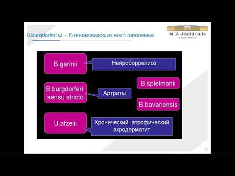 Видео: Болезнь Лайма: современный взгляд на проблему