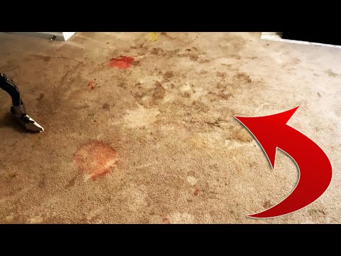 Видео: ЭКСТРЕМАЛЬНАЯ КАРАНТИННАЯ ЧИСТКА КОВРОВ!