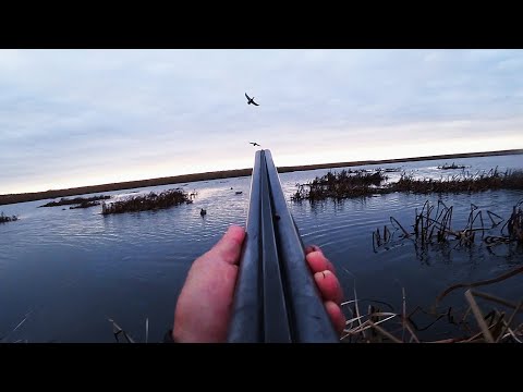 Видео: ОХОТА С ДЕДОВСКИМ РУЖЬЕМ! УТКИ ОЧЕНЬ МНОГО. Охота на утку с чучелами. Новое утиное место.