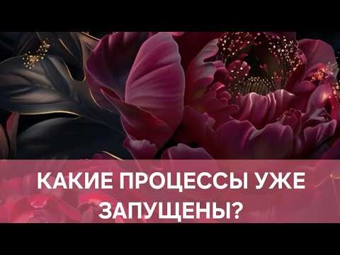 Видео: КАКИЕ ПРОЦЕССЫ УЖЕ ЗАПУЩЕНЫ?