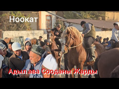Видео: НООКАТ ЖЫЛКЫ БАЗАРЫ УКМУШ КЫЗЫДЫ ПАЙ ПАЙ ПАЙ 