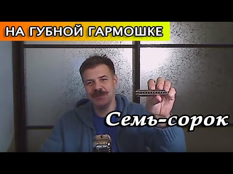 Видео: Семь-сорок на губной гармошке