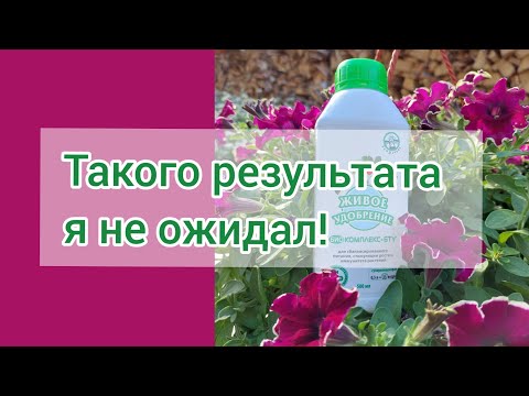 Видео: Почему я люблю Экодачник?!