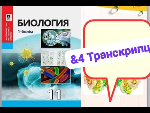 Видео: & 4 Транскрипция. Пре-М рибонуклеин қышқылының  посттранскрипциялық модификациясы.