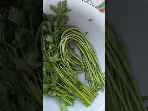 Видео: Кукатларни музлатамиз