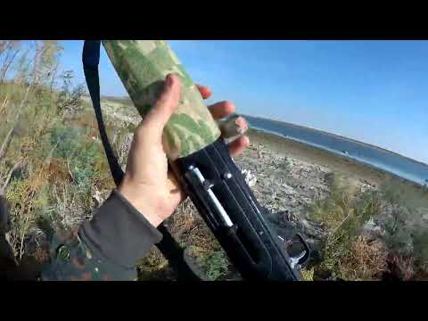 Видео: Охота на утку в Ставропольском крае 2022! Охота на пеганку