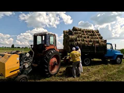 Видео: Б Кантат уборка сена 2024 Приехал подписчик помогать