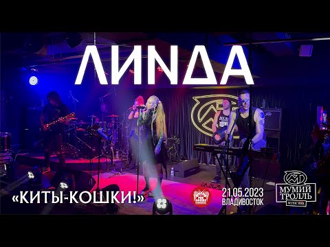 Видео: Линда - Киты-Кошки! (Live • Владивосток • 21.05.2023)