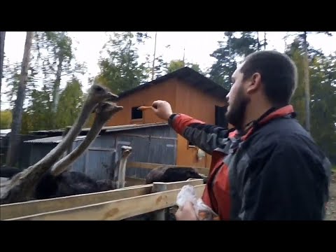 Видео: Озеро Иткуль- масса впечатлений в одном месте.