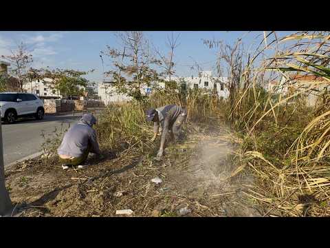 Видео: Очистите заросшую траву, чтобы восстановить тротуар, вторгнутый сорняками