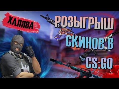 Видео: 🔴 Как играют 6 LVL на FACEIT |CS 2 | | Крупнейший розыгрыш сразу 12 скинов!!!!!! #shorts