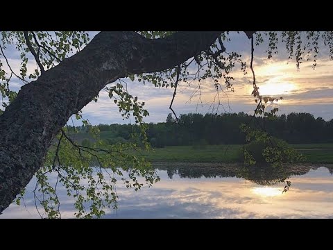 Видео: Плейлист рандомных песен