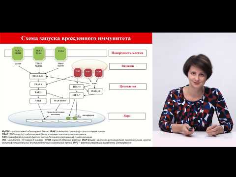 Видео: Дисплазия шейки матки у беременных.