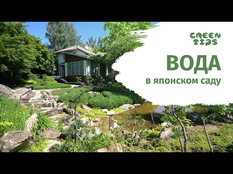 Видео: Вода в саду. Японский сад Асташкиной Елены.