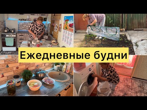 Видео: Ежедневные будни. О блогерстве, о канале