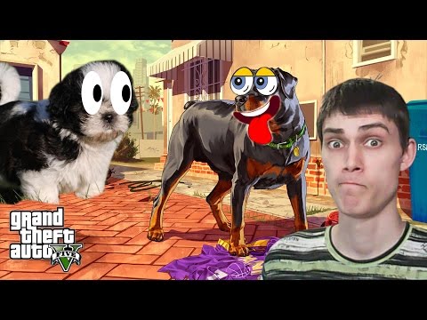 Видео: ПОХОТЛИВЫЙ ПЁСИК - Grand Theft Auto V (GTA 5) Прохождение На Русском #2