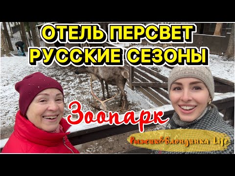Видео: РУССКИЕ СЕЗОНЫ Парк-отель ПЕРЕСВЕТ 4* 👍🏻🤩 Шикарная территория 🌲ЗООПАРК 🦌 Вкусная ЕДА 🥂