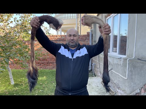 Видео: Огромные бычьи хвосты в казане на костре