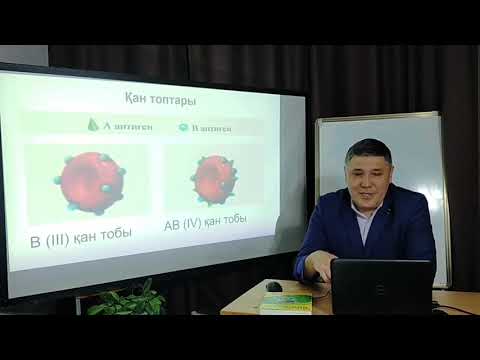 Видео: "Адам қан топтарының тұқым қуалау заңдылықтары және резус-факторы"  Биология 9 сынып