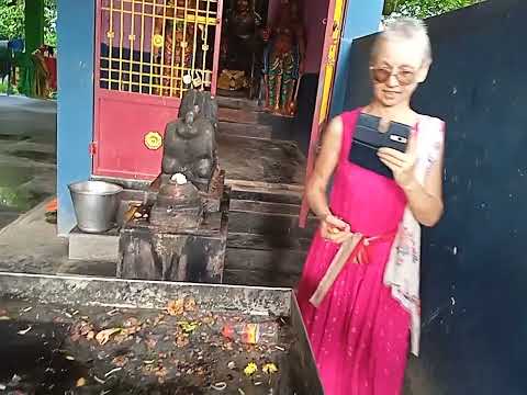 Видео: Индия Тируваннамалай Храм. День рождение Ситы Гири.