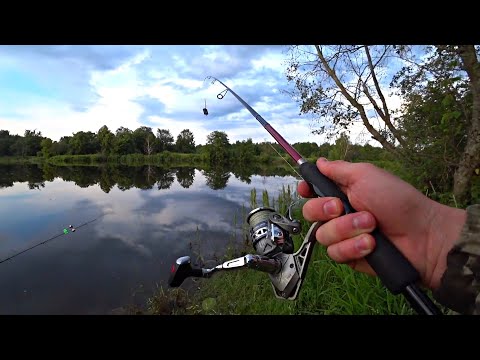 Видео: ОТЛИЧНАЯ РЫБАЛКА С НОЧЕВКОЙ . ЛОВИМ НА ДОНКИ . ОТДЫХ НА БЕРЕГУ РЕКИ С ПАЛАТКАМИ .