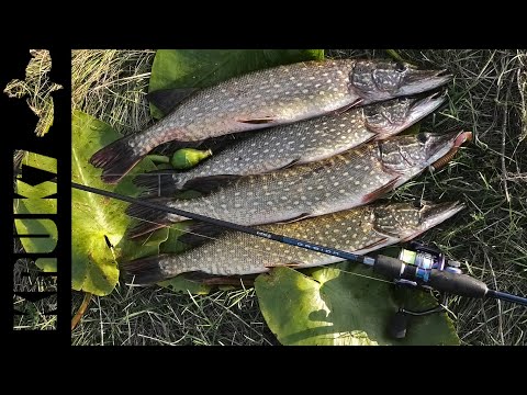 Видео: Первая Щука в этом сезоне .Рыбалка  одной приманкой.#рыбалка#щука#спиннинг