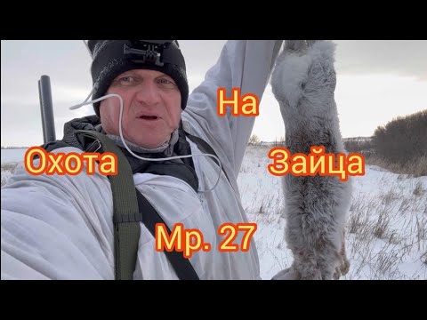 Видео: охота на зайца Мр 27