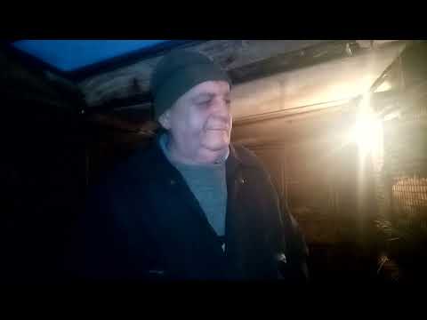 Видео: нутрии и холод