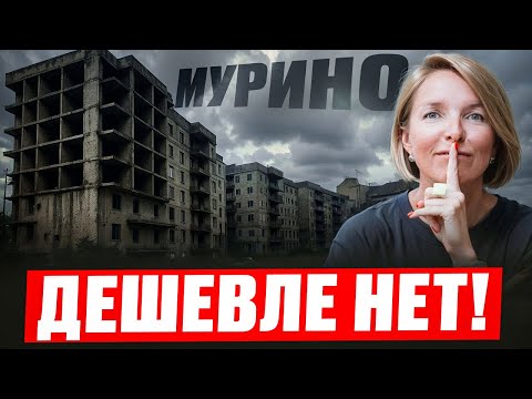 Видео: Самые ДЕШЕВЫЕ Квартиры в МУРИНО? | Плюсы и Минусы ЖИЗНИ в самом Недорогом Районе СПБ