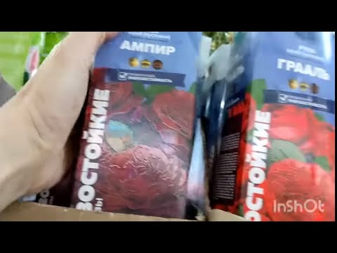 Видео: РОЗЫ🌹. ЖЭСТАЧАЙШЫ «МАРКЕТИНГ»👀🫣🙃 НОВЫЕ СОРТА РОЗ???😳🤣🤣🤣🤦‍♀️