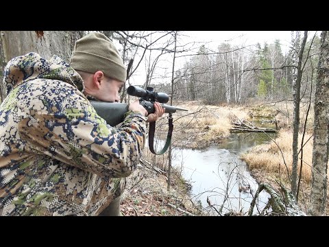 Видео: ЗА ЭТОТ ВЫСТРЕЛ, МОЖНО СЕСТЬ В ТЮРЬМУ. ТРИ ТОЧНЫХ ВЫСТРЕЛА И ОБЕСПЕЧЕН МЯСОМ.