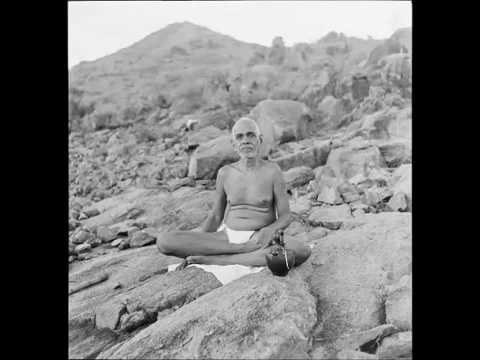 Видео: Бхагаван Шри Рамана Махарши - Видения и психические силы.