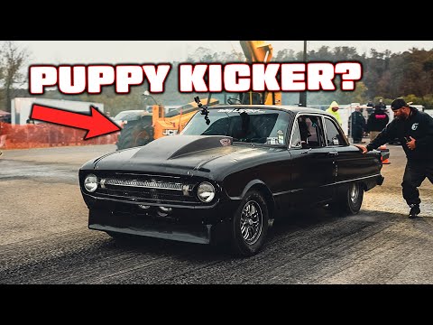 Видео: Мне подали протест за то, что я пинал щенка!?