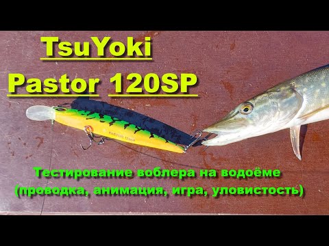 Видео: TsuYoki Pastor 120SP - тестирование воблера на водоёме (проводка, анимация, игра, уловистость)