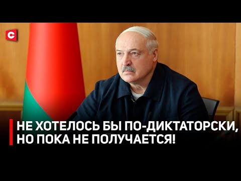 Видео: Жёсткие поручения Лукашенко по картошке! | Цены в магазинах | Президент проинспектировал аграриев