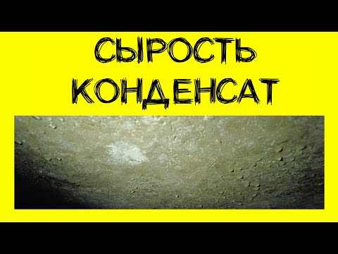 Видео: Сырость, конденсат в погребе, подвале. Способы устранения.