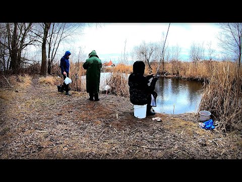 Видео: Ось де Риба зимує !!! Маленький рівчак, а Риби валом !!!