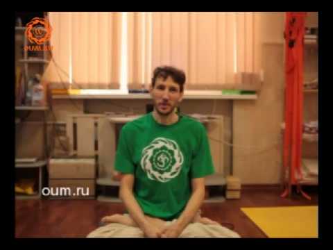 Видео: Йога по-взрослому - Воспитание детей