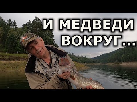 Видео: Рыбалка на спиннинг с новичками двумя экипажами. Рыбалка на щуку с лодки 2 серия
