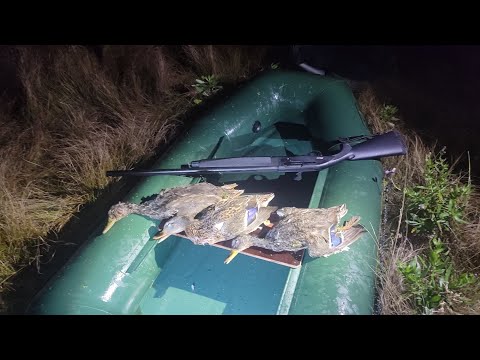 Видео: Зачётная охота с подхода и Вечерка на утку💪