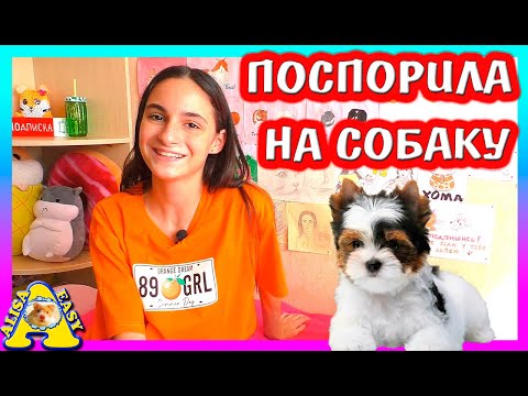 Видео: НОВЫЙ ПИТОМЕЦ / КТО ОН? / КАК УГОВОРИТЬ родителей КУПИТЬ Собаку, Хомяка, Кота / Alisa Easy Pets