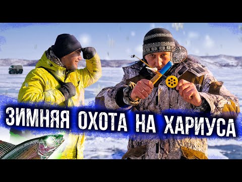 Видео: ЗИМНЯЯ ОХОТА НА ХАРИУСА