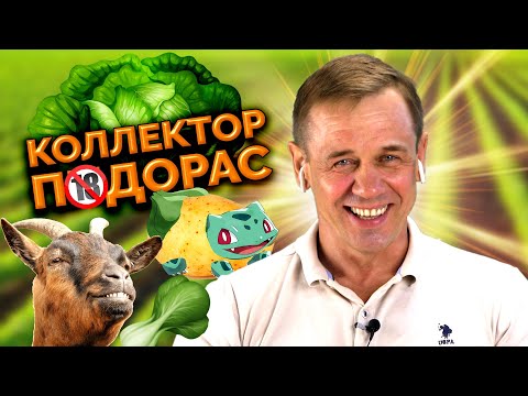 Видео: 😲ЗАСТАВИЛ КОЛЛЕКТОРА УВОЛИТЬСЯ!😲| БАНКРОТСТВО | Кузнецов | Аллиам