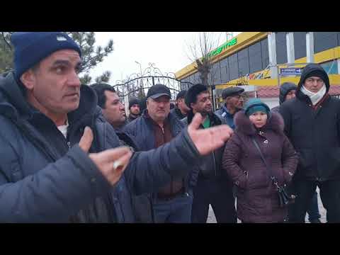 Видео: Предприниматели у Прокуратуры Сарыагаш