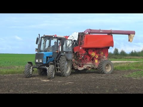 Видео: Сегодня пятница! Очень классная песня Сергея Кондратова!