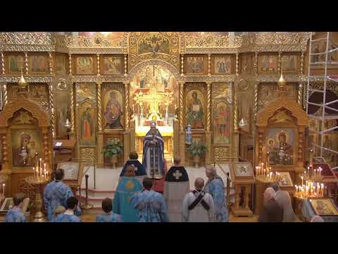 Видео: HVC 2025-10-26 - Liturgy - 20th Sunday After Pentecost -Воскресенье 20-е после Пятидесятницы