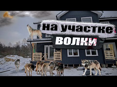 Видео: Как НЕ Надо делать Водопровод! 16 серия