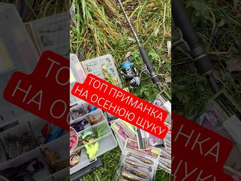 Видео: КАКУЮ ПРИМАНКУ ВЫБРАТЬ НА ЩУКУ? ЛУЧШАЯ ПРИМАНКА НА ОСЕННЮЮ ЩУКУ. ПРИМАНКА КОТОРАЯ ЛОВИТ ВСЕГДА!