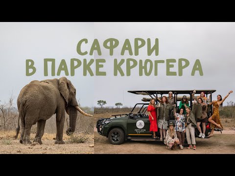 Видео: Kruger national park safari | Большой тур в ЮАР, часть 1 | vlog14