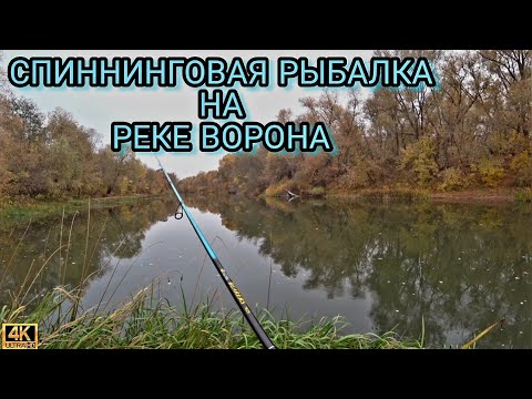 Видео: Рыбалка на спиннинг  на черноземье.